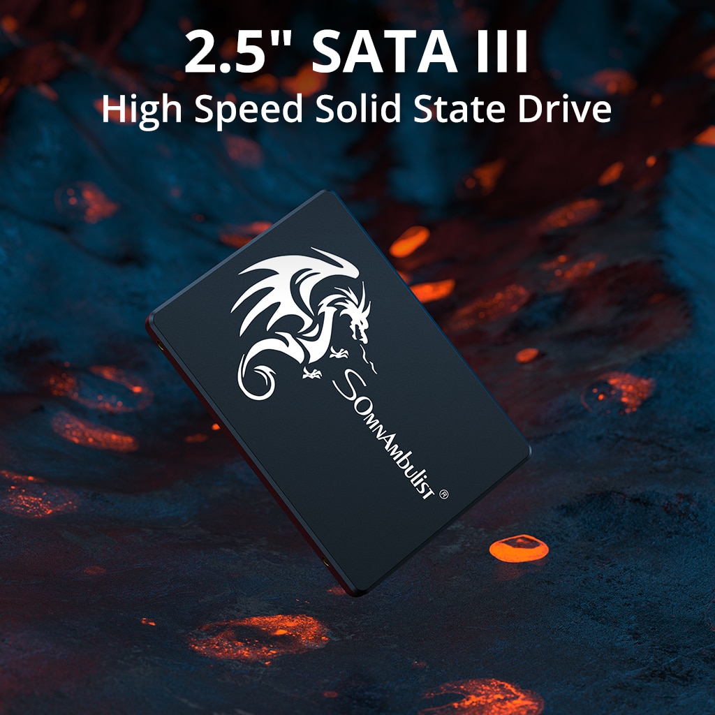 ソムナンブリストssd 120gb 240gb 480gb  - Ssd 500Gb のレビューと価格