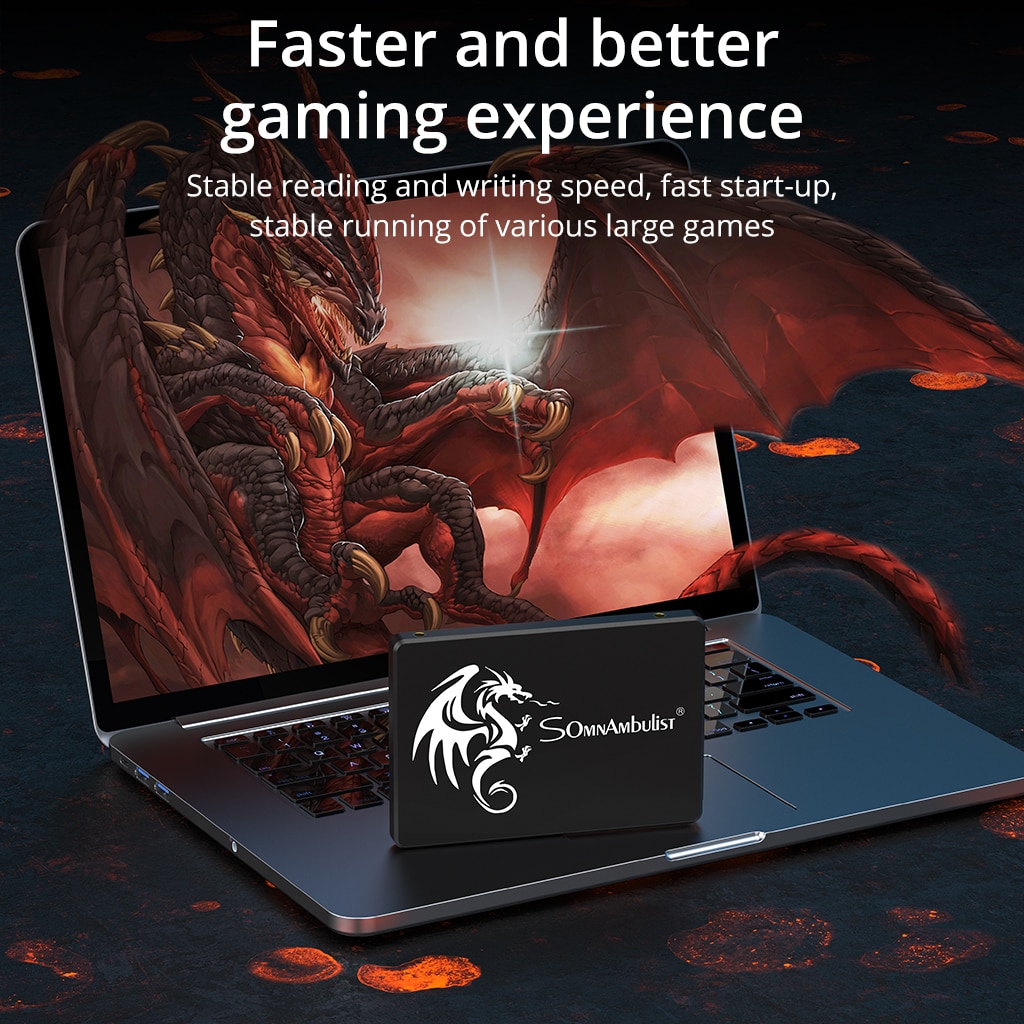 ソムナンブリストssd 120gb 240gb 480gb  - Ssd 500Gb のレビューと価格