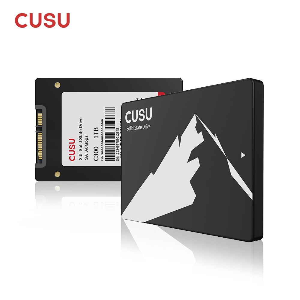 CUSU SSD 1TB 512GB 256GB 128GB - Ssd 500Gb のレビューと価格