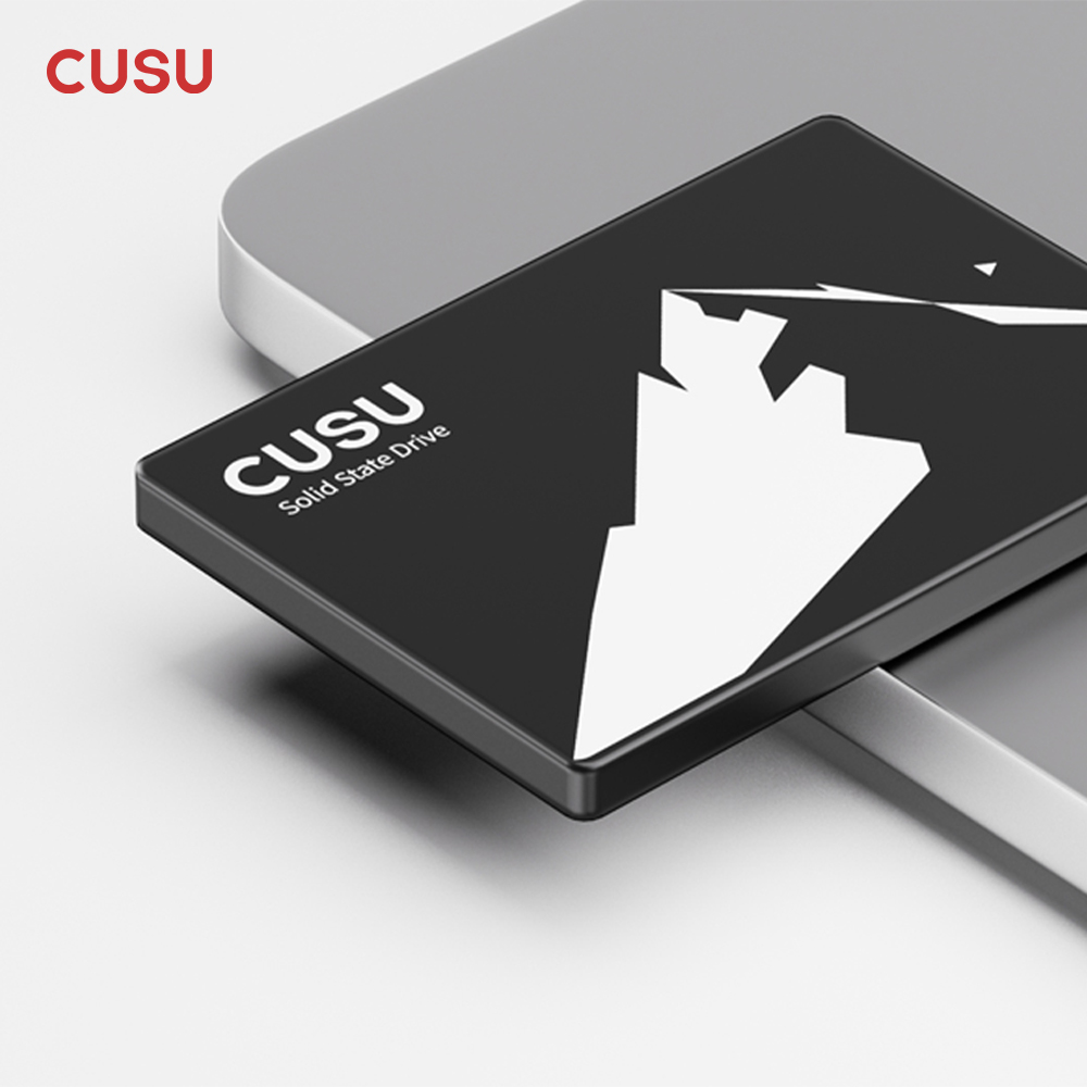 CUSU SSD 1TB 512GB 256GB 128GB - Ssd 500Gb のレビューと価格